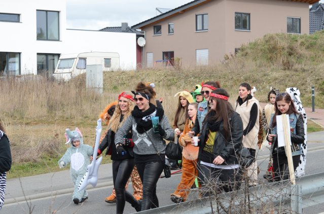 umzug simmern_140301_vb_004